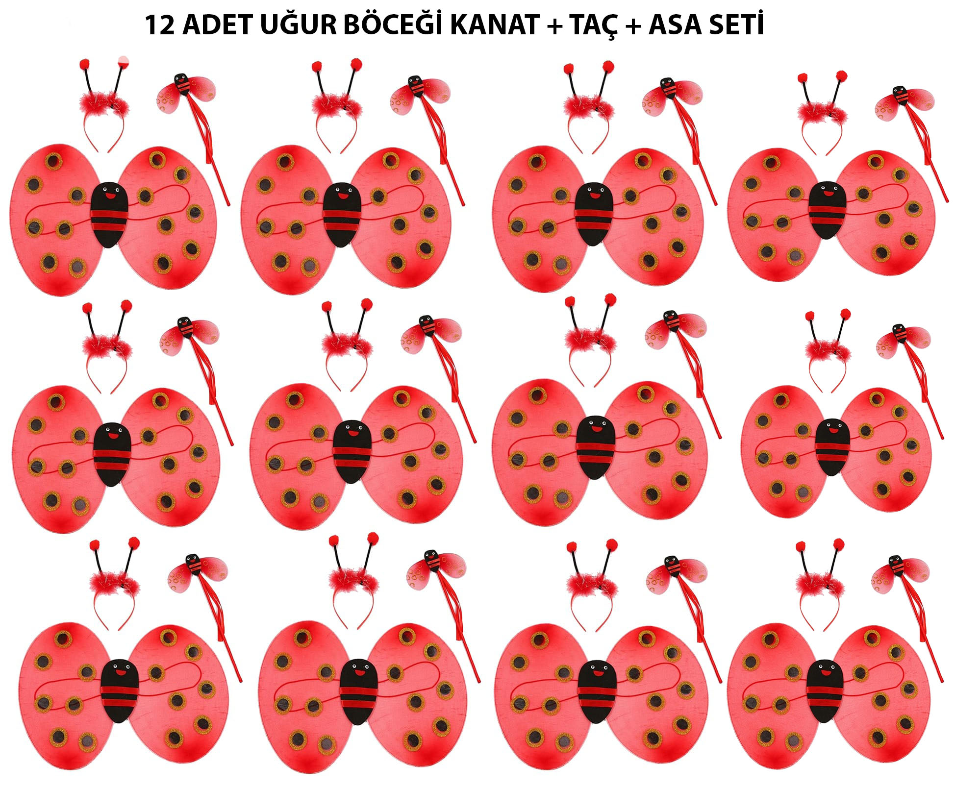 Uğur Böceği Kostüm Seti - Kanat
